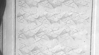 Teen in fishnet socks