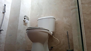 Various toilet scenes