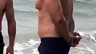 I Met Two Cats on the Beach and Made Out with Them Right There