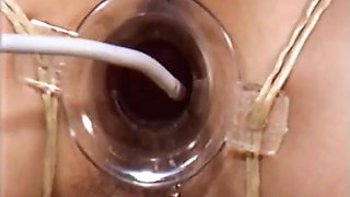 Piercing Pussy Studio