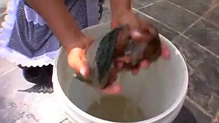 Darlene Big Butt Brazilian Maids: Blowjob, Doggy  Cowgirl Porn