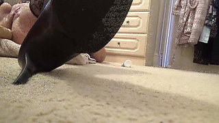 Shaved Cunt Machine-fucked Raw - Stockings & Heels Floor View POV