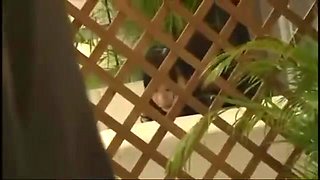 Japanese-sex-toto-649