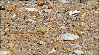 Public No Panties # Flashing On Public Beach