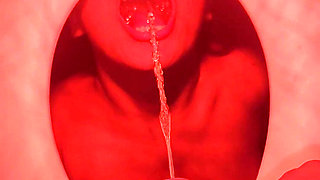A New Human Toilet with Private Flush V 08/12/2023