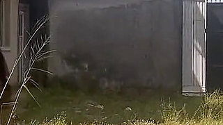 Secret Affair with My Neighbor