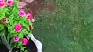 Caught My Neighbours Fucking When Flying with My Drone