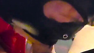 Mistress Sucks Man Out