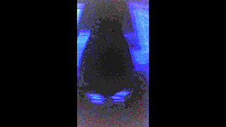 MILF Candi Annie Fucks and Swallows Cum in Hot Tub Romp - POV Video