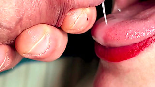 POV Licking Blowjob Asmr - Wet Mouth Sounds up Close