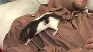 Allie Haze's Steamy Forbidden Parody Passion