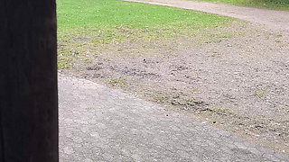 Breasts beating on the sports field