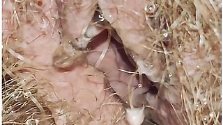 Heavy Anal Fart Load And Power Piss In The Morning Toilet Fetish Pee Fetish Farting Fetish With Perv-mom