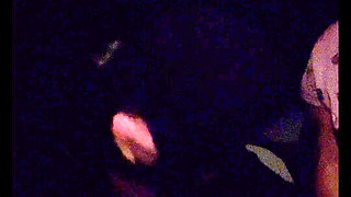 Threesome Car Sex of Ramen-fun