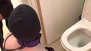 Head in the Toilet...