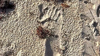 Day at the Beach with 67 Goddess