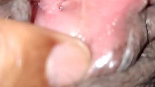 Pussy