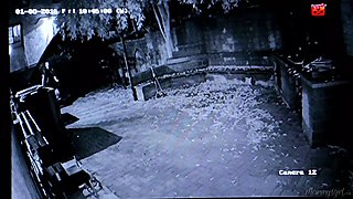 Hot MILF Kendra James Seduces Ember Stone