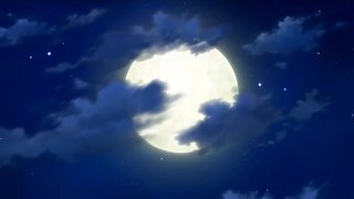 Wild Passion under the shadow under the night