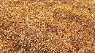 Indian beautiful my wife desi girl sex video porn video XX video hot sexy video