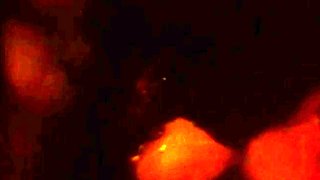 Insatiable Retro Beauty Craves More