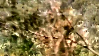 Living in the Australian Bush as a Nudist