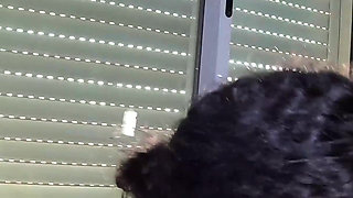 Fatty Black Slut Loves My Dick (fv)