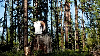 Bree Daniels hot erotic solo outdoor