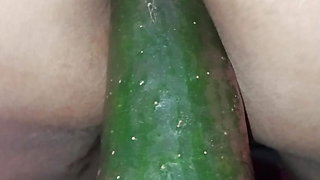 Hot Moroccan Wife Playing with a Cucumber and Lovense
