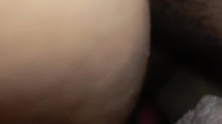 Lick My Ass.mp4