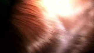 Amateur hands free close up blowjob