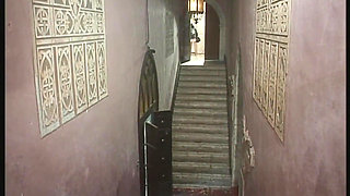 The Cocks Never Fail