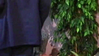 German Slut Got Fingered and Fucked in Threesome