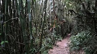 Public Forest Walk, Masturbating and Naked on Webcam