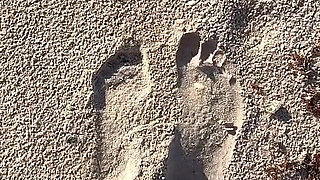 Comparing Size 16 Feet to Sand Prints at the Beach