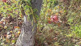 Perfect Body Tiny Petite Hana