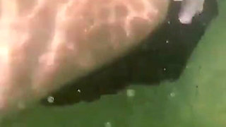 Wife Beach Vacation Sex and Suck Cock Twice
