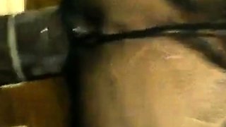 American Black Bull Conquers Chinese Businesswoman