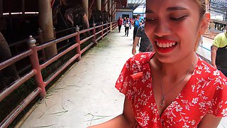Elephants feeding with Thai girlfriend