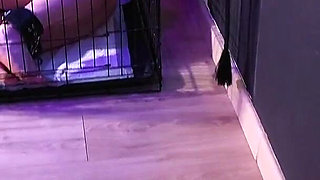 Kiss My Feet or I’ll Rip Your Balls off - CBT & Humiliation - Mistress Julia