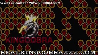 Black Cobra, King Cobra And Black King - S Cock Is Loves Worshiping That Big Cobra Cock