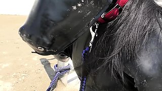 Hot cumshot for amateur fetish mature stockings slut