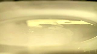 Shye White Which Surface Should I Lick You Off Next