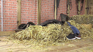 Busty Slut Deepthroats Bull Cock and Gets Pussy & Ass Pounded Raw!