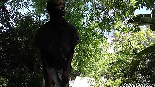 Riley Reid, Anya Ivy, Jezabel Vessir