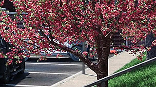 The Prison Guard #11