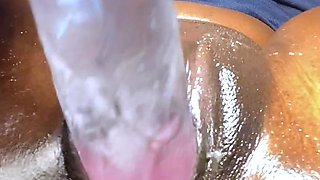 CIMA black and ebony