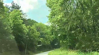 Sweet Cherry Adventure in My Car