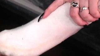Conditioned to Cum to Sweaty Socks