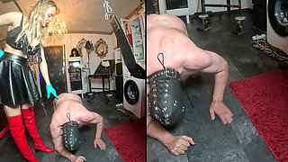 Your Testicles Must Endure Suffering for Your Mistress!